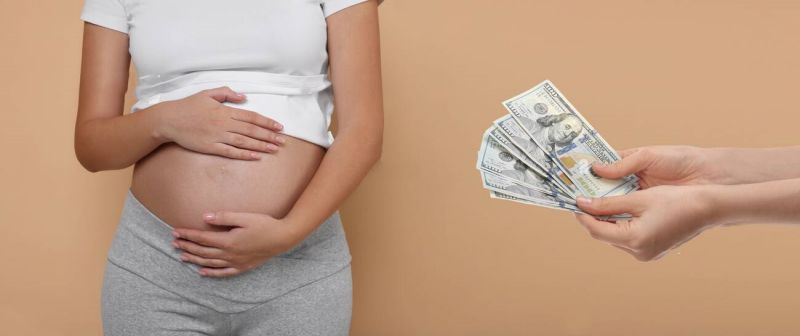 �ھ�������γ�Ϊ�����������裿�����ڳ�Ϊ������������ķ�������ս��