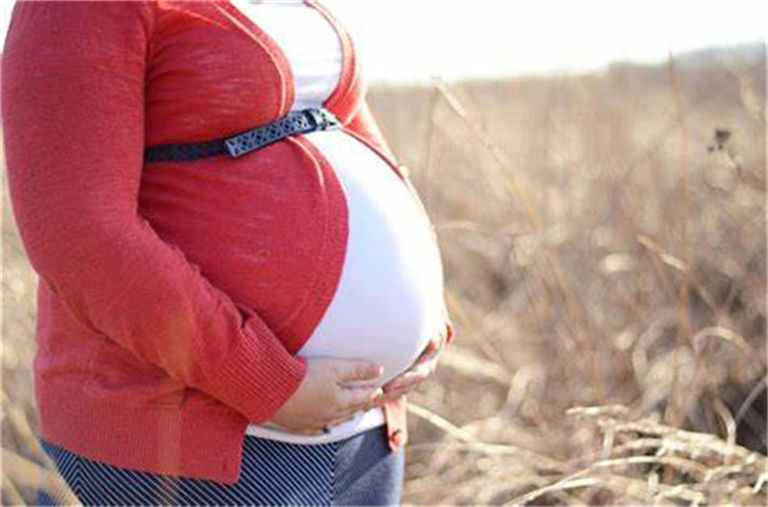 ���л�������Щ������Ŀ��